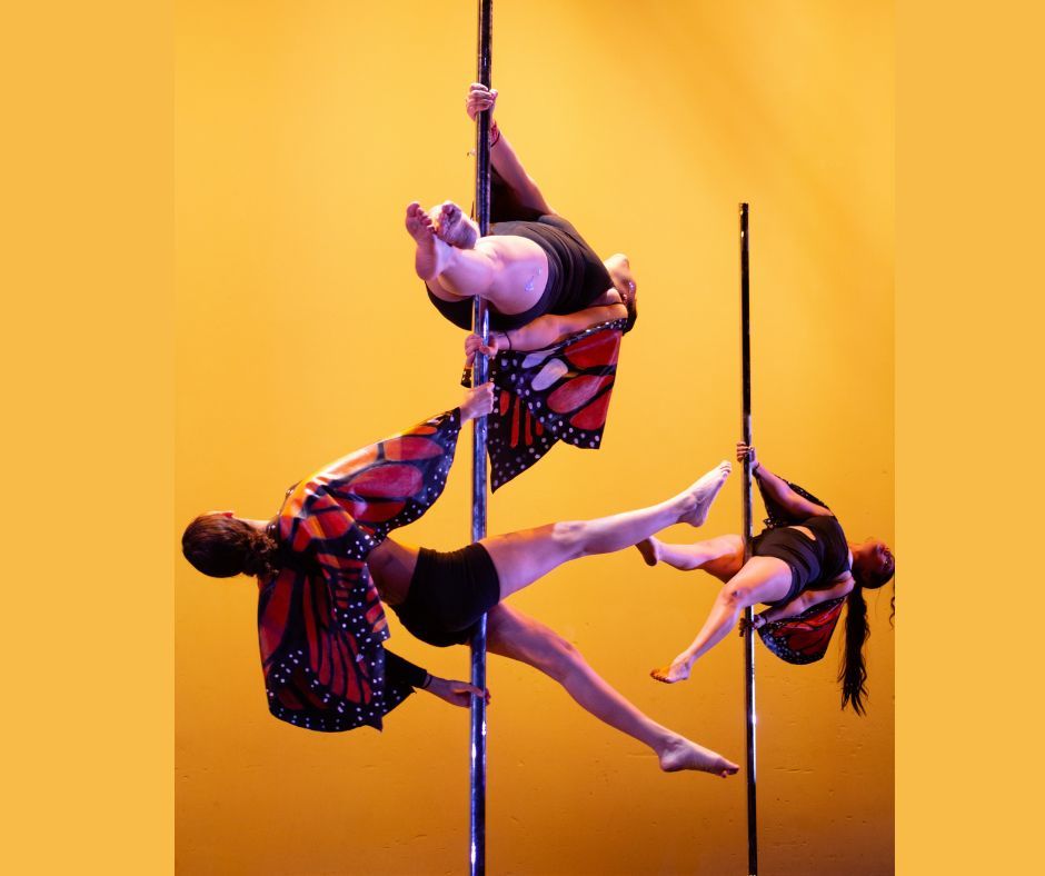 Pole Dance Fitness